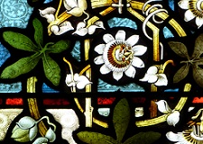Services at New Eltham Methodist Church